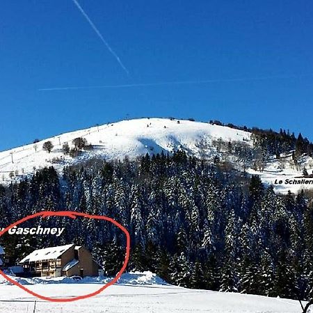 Le Montagnard Au Pied Des Pistes, Station Du Gaschney, Altitude 1000 M Apartment Muhlbach-sur-Munster ภายนอก รูปภาพ