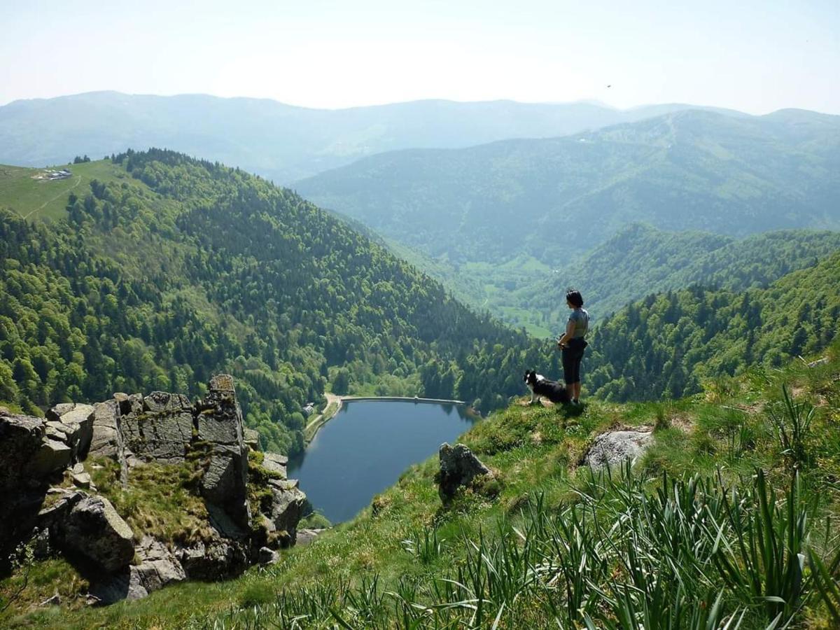 Le Montagnard Au Pied Des Pistes, Station Du Gaschney, Altitude 1000 M Apartment Muhlbach-sur-Munster ภายนอก รูปภาพ