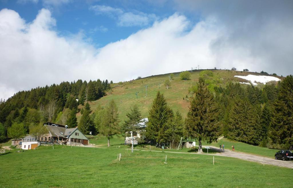 Le Montagnard Au Pied Des Pistes, Station Du Gaschney, Altitude 1000 M Apartment Muhlbach-sur-Munster ภายนอก รูปภาพ