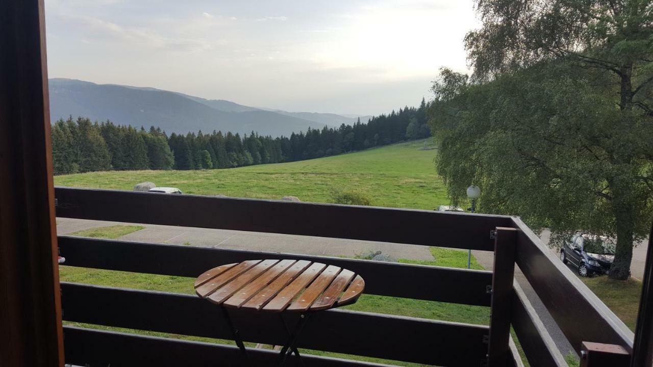 Le Montagnard Au Pied Des Pistes, Station Du Gaschney, Altitude 1000 M Apartment Muhlbach-sur-Munster ภายนอก รูปภาพ