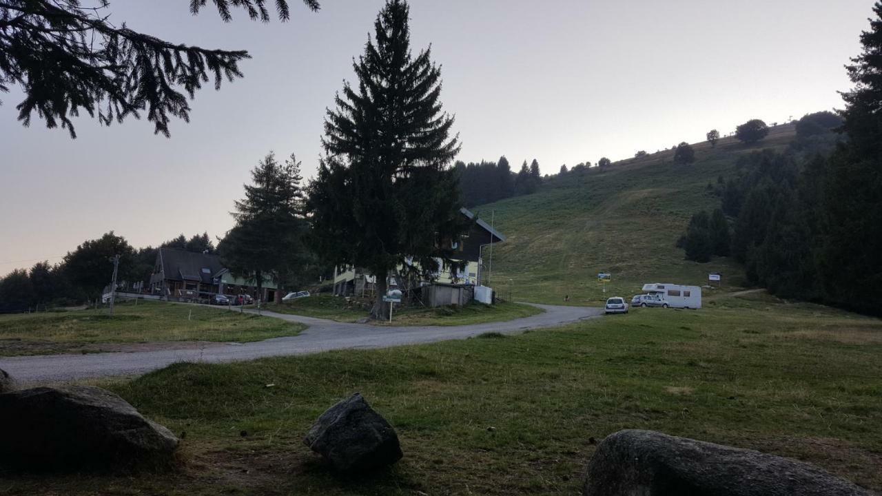 Le Montagnard Au Pied Des Pistes, Station Du Gaschney, Altitude 1000 M Apartment Muhlbach-sur-Munster ภายนอก รูปภาพ