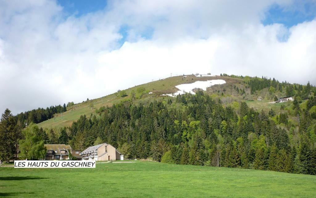 Le Montagnard Au Pied Des Pistes, Station Du Gaschney, Altitude 1000 M Apartment Muhlbach-sur-Munster ภายนอก รูปภาพ