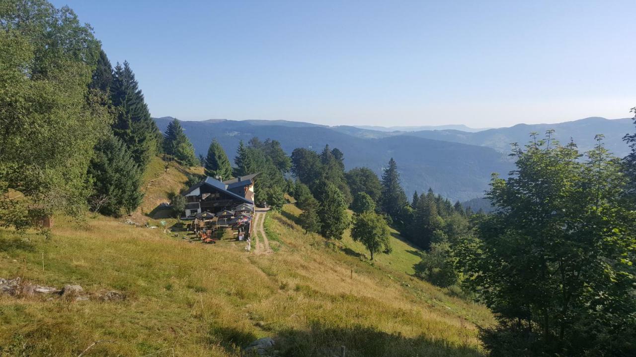 Le Montagnard Au Pied Des Pistes, Station Du Gaschney, Altitude 1000 M Apartment Muhlbach-sur-Munster ภายนอก รูปภาพ