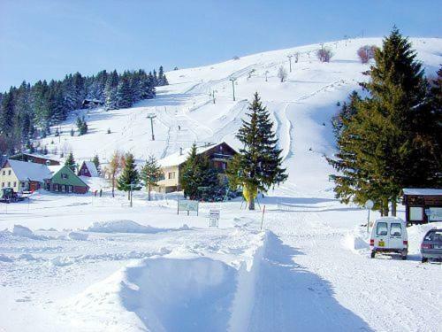 Le Montagnard Au Pied Des Pistes, Station Du Gaschney, Altitude 1000 M Apartment Muhlbach-sur-Munster ภายนอก รูปภาพ