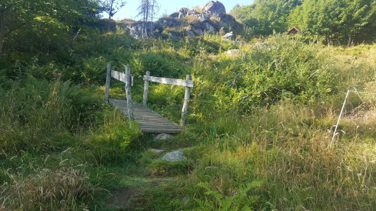 Le Montagnard Au Pied Des Pistes, Station Du Gaschney, Altitude 1000 M Apartment Muhlbach-sur-Munster ภายนอก รูปภาพ
