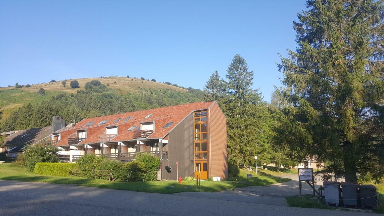 Le Montagnard Au Pied Des Pistes, Station Du Gaschney, Altitude 1000 M Apartment Muhlbach-sur-Munster ภายนอก รูปภาพ