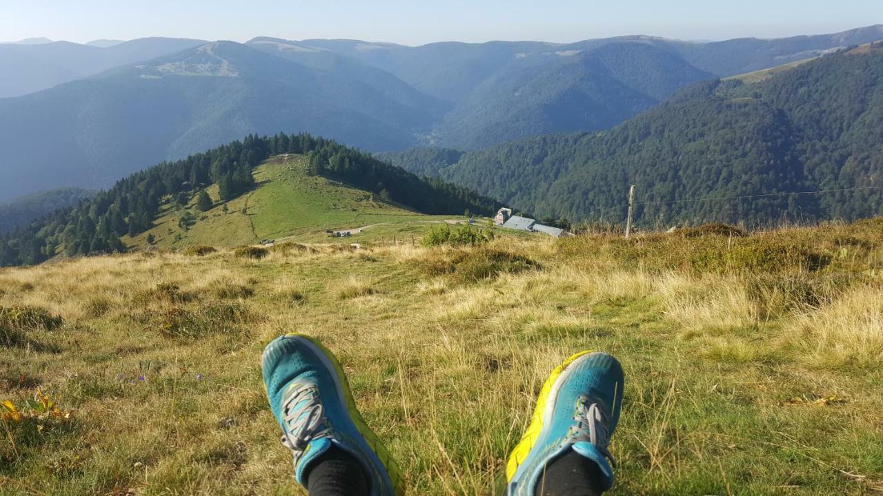 Le Montagnard Au Pied Des Pistes, Station Du Gaschney, Altitude 1000 M Apartment Muhlbach-sur-Munster ภายนอก รูปภาพ