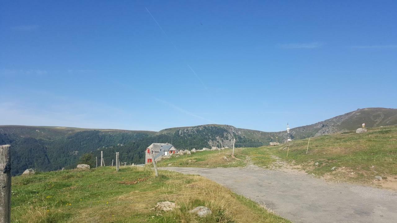 Le Montagnard Au Pied Des Pistes, Station Du Gaschney, Altitude 1000 M Apartment Muhlbach-sur-Munster ภายนอก รูปภาพ