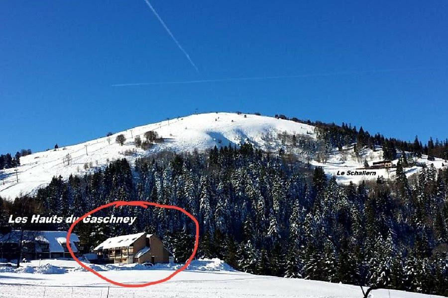 Le Montagnard Au Pied Des Pistes, Station Du Gaschney, Altitude 1000 M Apartment Muhlbach-sur-Munster ภายนอก รูปภาพ
