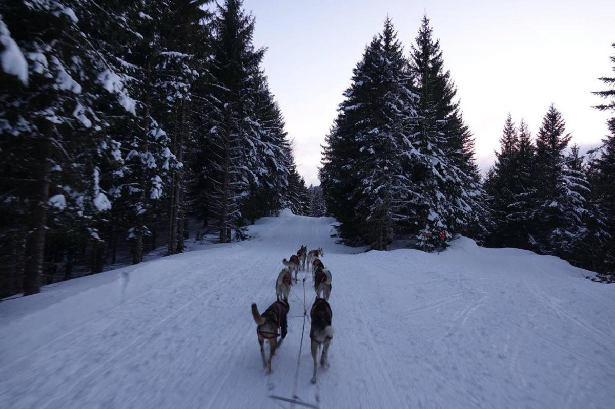 Le Montagnard Au Pied Des Pistes, Station Du Gaschney, Altitude 1000 M Apartment Muhlbach-sur-Munster ภายนอก รูปภาพ