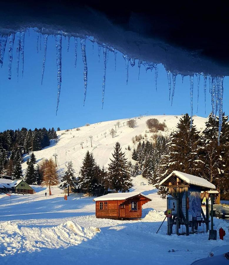 Le Montagnard Au Pied Des Pistes, Station Du Gaschney, Altitude 1000 M Apartment Muhlbach-sur-Munster ภายนอก รูปภาพ